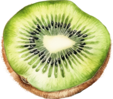 Kiwi Fruit Watercolor. d png