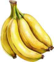 Banane Obst Aquarell. ai generiert png