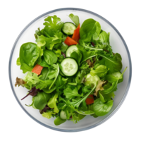 Green fresh salad isolated. Illustration png