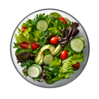 Green fresh salad isolated. Illustration png