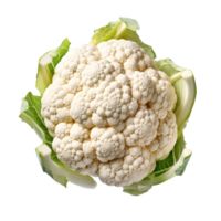 coliflor aislado. ilustración ai generativo png