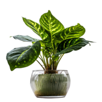 kamerplant in pot. illustratie ai generatief png