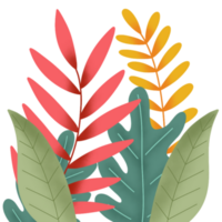 colored plants illustration png