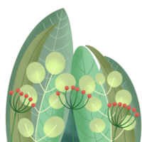 hand drawn leaf illustration png