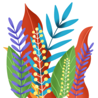 colored plants illustration png