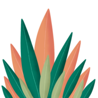 orange and green plant illustration png