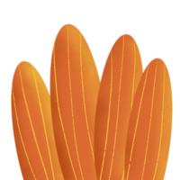 Orange Pflanze Illustration png