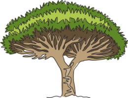 uno continuo línea dibujo de belleza y exótico socotra continuar árbol. decorativo continuar sangre árbol concepto para viaje y turismo campaña. de moda soltero línea dibujar diseño gráfico ilustración png