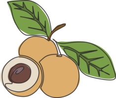 enda kontinuerlig linje teckning av hela och skära friska organisk longan för fruktträdgård logotyp identitet. färsk fruitage begrepp för frukt trädgård ikon. modern ett linje grafisk dra design illustration png