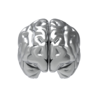 Brain isolated 3d rendering png