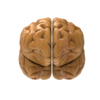 cerveau isolé 3d le rendu png