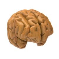 Brain isolated 3d rendering png