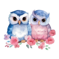 blue and pink watercolor cute owl couple for Valentine's Day . png