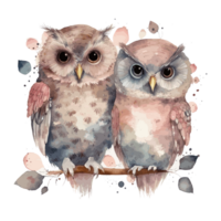 muted color watercolor cute owl couple for Valentine's Day . png