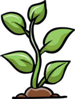Plant growing png graphic clipart design