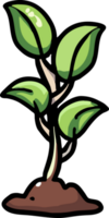 Pflanze wachsend png Grafik Clip Art Design
