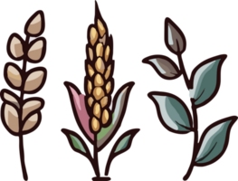 Wheat png graphic clipart design