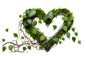 Heart shaped jungle vines on transparent background, created with png