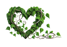 Heart shaped jungle vines on transparent background, created with png