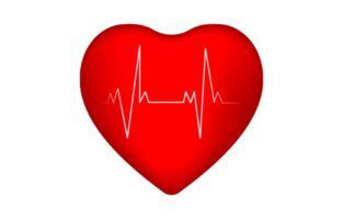 coração com eletrocardiograma conceito símbolo do saudável estilo de vida e amor ilustração transparência png