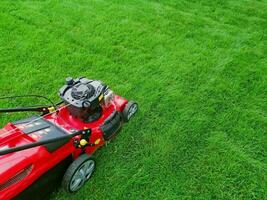 electric grass lawn mower on green grass photo