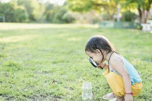 Cute girl using magnifying glass to look at bugs in glass jars Learn to use science-related observations. photo