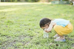 Cute girl using magnifying glass to look at bugs in glass jars Learn to use science-related observations. photo