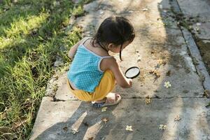 imagen de linda niño con aumentador vaso explorador el naturaleza al aire libre. adorable pequeño niña jugando en el bosque con aumentador vaso. curioso niño mirando mediante lupa en un soleado día en parque foto