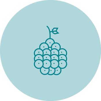 Raspberry Vector Icon