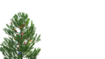 3D Render, Christmas Tree on PNG Background.