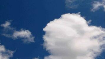 Tempo lapso branco nuvens vela através uma azul céu. video
