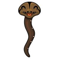 Cute golden child phantom reticulatus python cartoon vector