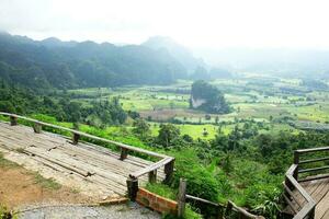 de madera terraza para punto de vista en el Valle phu idioma kha montaña y hermosa verdor bosque en lluvioso temporada de Tailandia foto