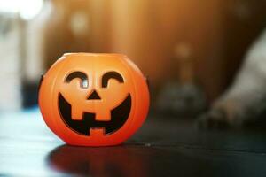 Smiling Halloween pumpkin head on wooden floor in natural shadow and sunlight. Halloween holiday concept. photo