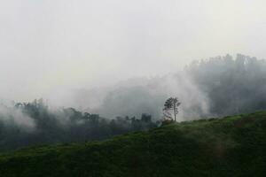 Destination and paradise of the mist and fog in the jungle on the valley mountain. Aerial view of Rainy season in the tropical rainforest in Thailand. photo