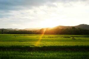 Beautuful landscape greenery of  farmland with natural sunshine near valley mountain and destination of sunset in Thailand photo