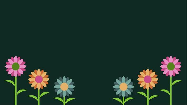 Flower Blooming Animation Stock Video Footage for Free Download