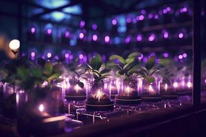 the greenhouse is filled with seed starters and is lit up with purple light with photo