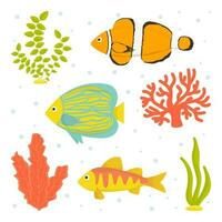 Collection of vector illustrations. Fish and seaweed isolated on white background. Flat cartoon.