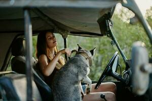 Woman and husky dog happily traveling in car smile with teeth fall walk with pet, travel with dog friend hugs and dances photo