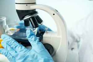 female doctor microbiology analyzes diagnostics for research photo