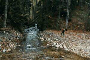 Mountain river tall trees forest landscape autumn woman travel tourism photo