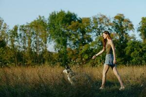 mujer y su fornido perro felizmente caminar y correr mediante el césped en el campo sonrisa con dientes otoño puesta de sol caminar con un mascota, viaje con un amigo perro felicidad estilo de vida foto