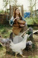Woman farmer smiles feeds chickens organic food for bird health and good eggs and care for the environment photo