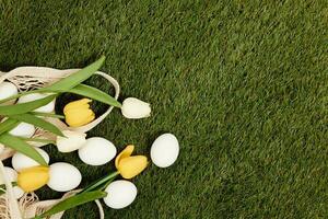 easter eggs green grass spring holiday decoration photo