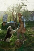 Woman stroking her big furry dog on. farm in the countryside against a backdrop of clean laundry on a rope photo