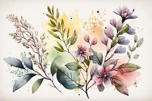 Watercolor colorful Flowers Background, . photo