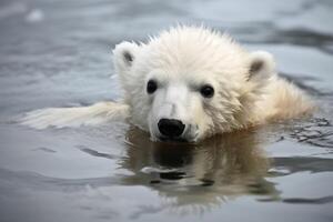 Baby polar bear on melting ice created with technology. photo