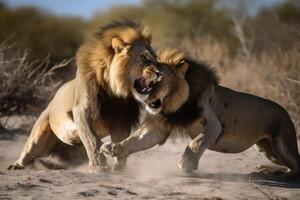 Two strong male lions fighting created with generative AI technology. photo