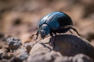 Dung beetle in a close up view created with technology. photo